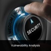 vulnerability_analysis